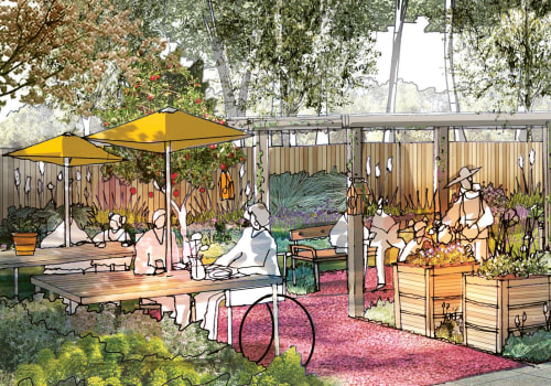 Exploring Natural and Organic Options in Medical Aesthetics